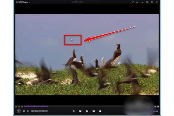 如何在KMPlayer Plus中轻松添加字幕文件 如何在KMPlayer Plus中轻松添加字幕文件