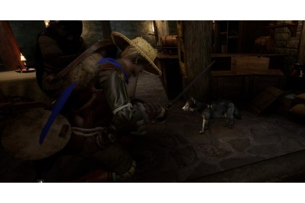 《越来越黑暗》德鲁伊克制什么职业