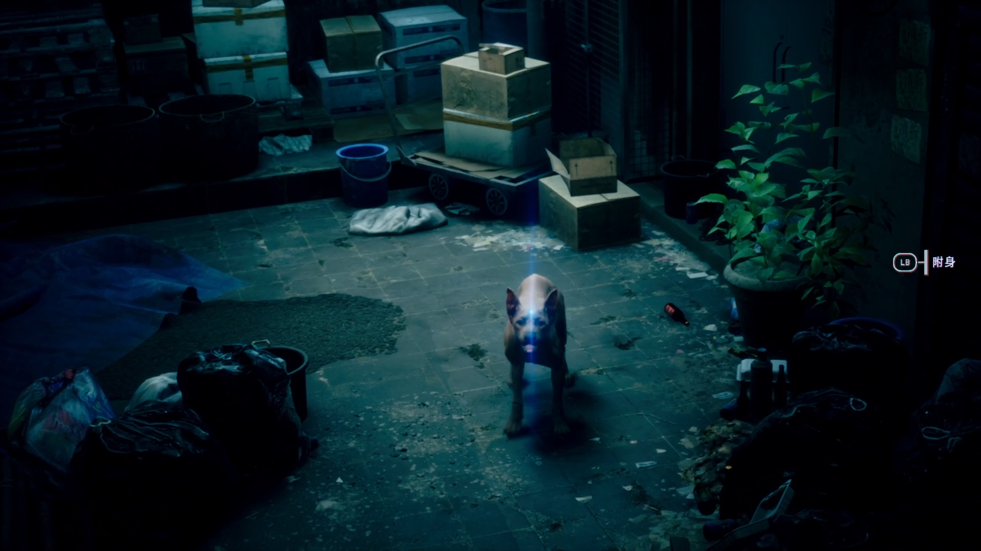 《野狗子:裂头怪》剧情流程攻略 《野狗子:裂头怪》剧情流程攻略