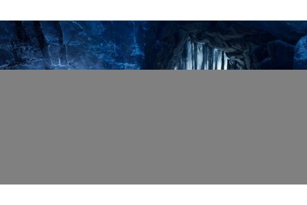 《越来越黑暗》盗贼职业介绍