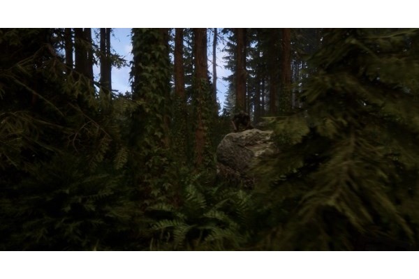 《森林之子》武器代码分享