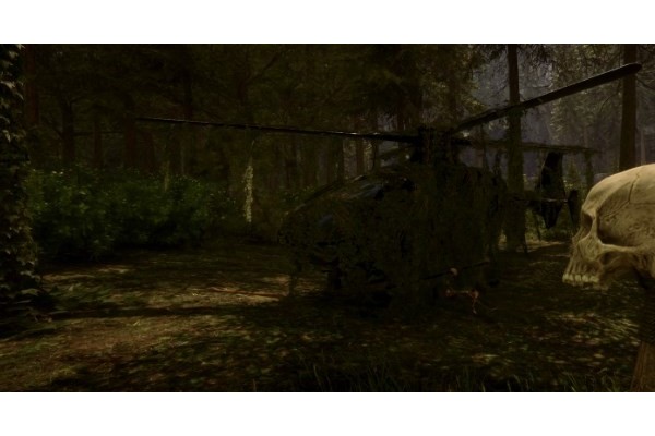 《森林之子》植物种子代码分享