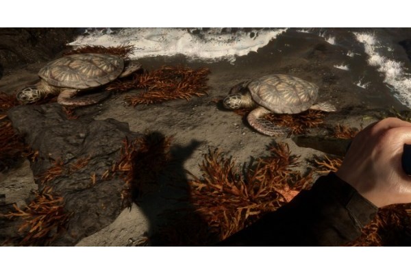 《森林之子》野人生成代码分享