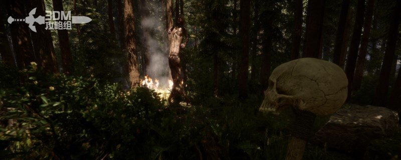 《森林之子》季节设置代码分享 《森林之子》季节设置代码分享