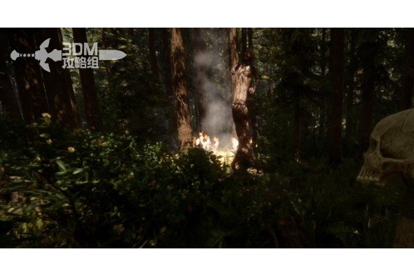 《森林之子》季节设置代码分享