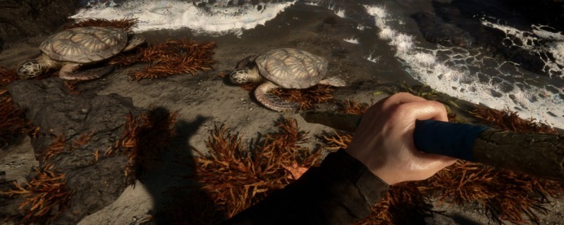 《森林之子》动物生成代码分享