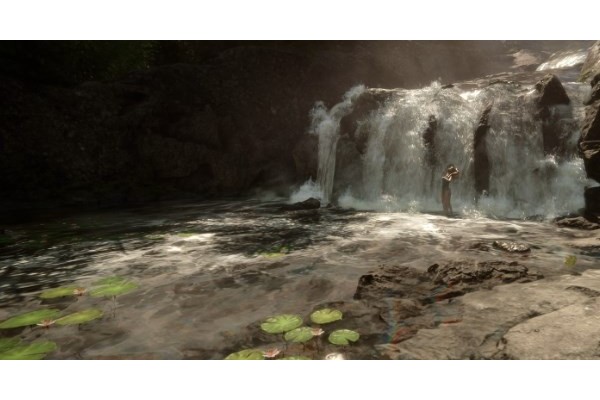 《森林之子》代码大全