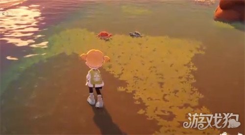 星布谷地螃蟹怎么捕捉 星布谷地螃蟹怎么捕捉