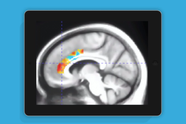 国外新研究！游玩10周大脑训练类游戏可抵消10年脑退化！