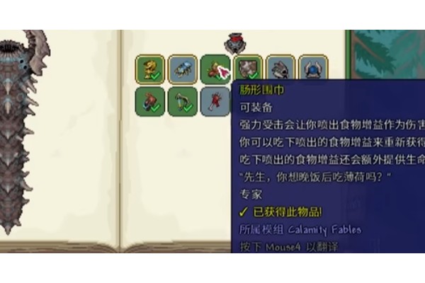 泰拉瑞亚灾厄寓言饰品有哪些