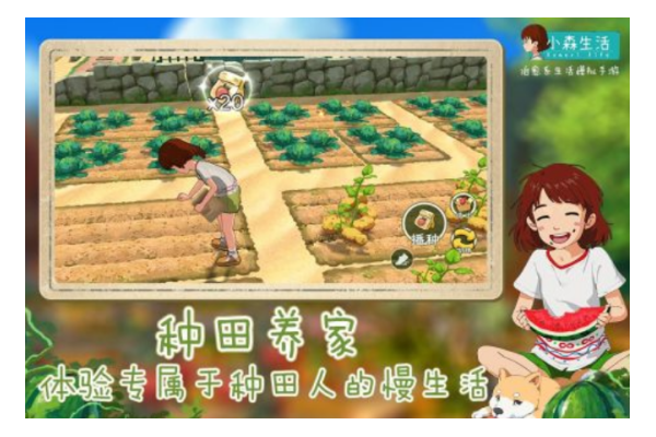 盛大网络游戏下载指南