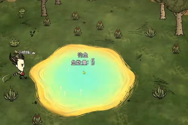 饥荒联机版建家的点位要怎么选