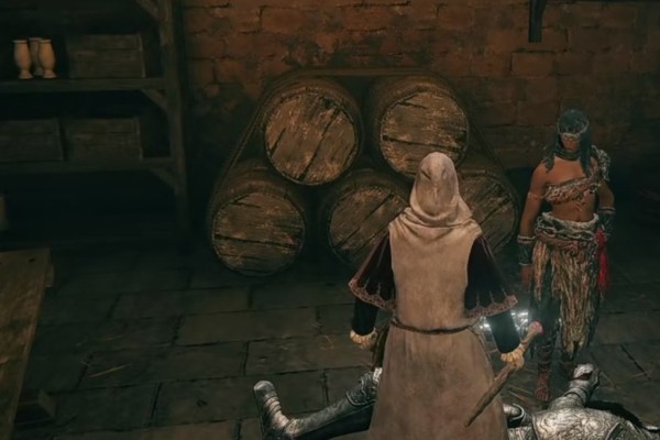 艾尔登法环涅斐丽全部支线流程有哪些