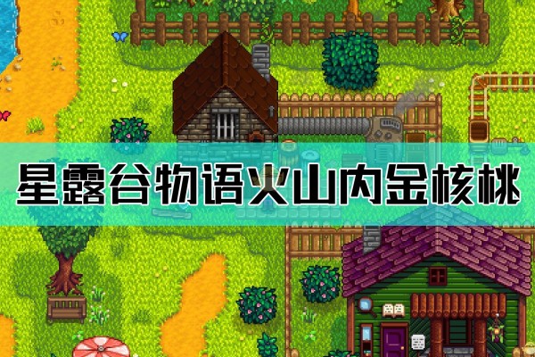 《星露谷物语》火山内金核桃获取方法介绍