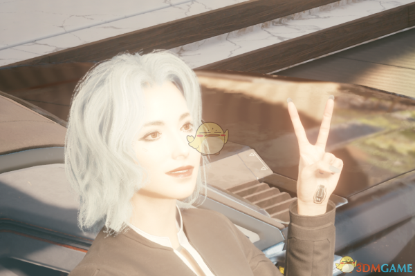 《赛博朋克2077》银发美女捏脸数据一览