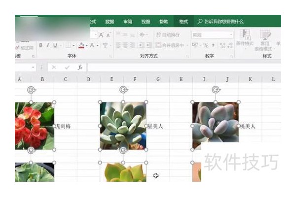 excel如何将图片设置中间居中