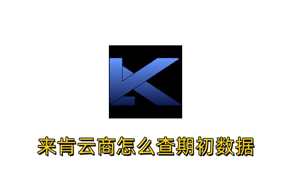 来肯云商怎么查期初数据