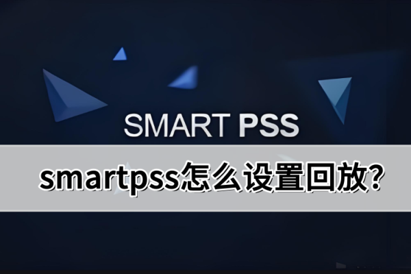 smartpss怎么设置回放