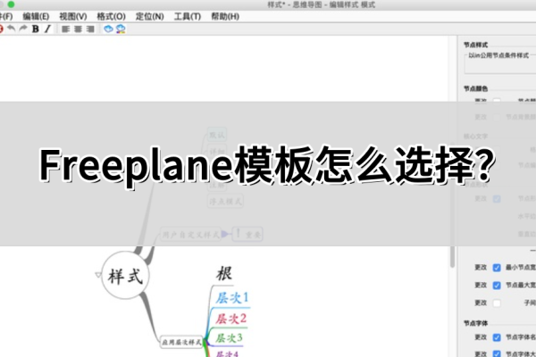 Freeplane模板怎么选择