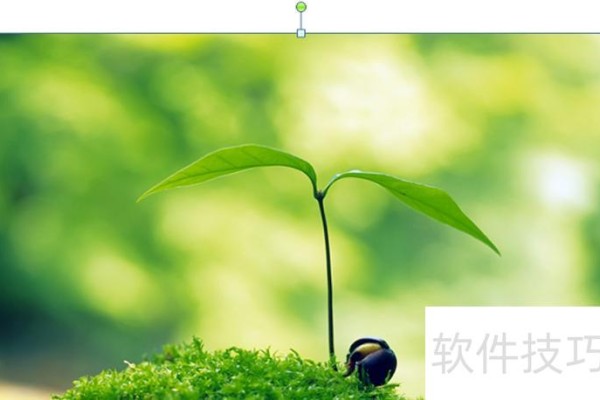 怎样用ppt制作马赛克