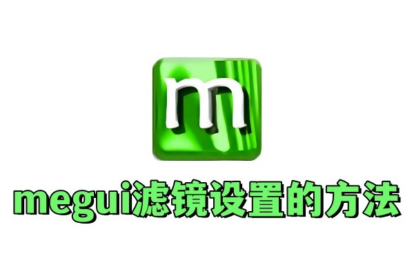megui滤镜怎么设置
