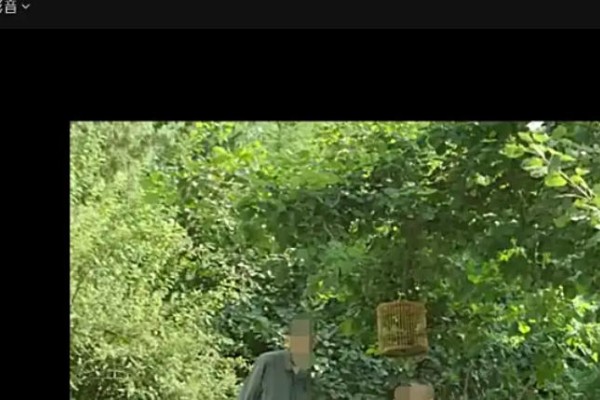 QQ影音怎么关闭本地文件默认打开