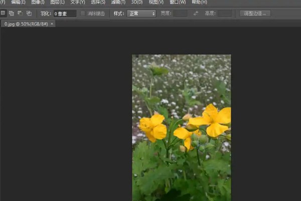 Photoshop CS6怎么关闭照片
