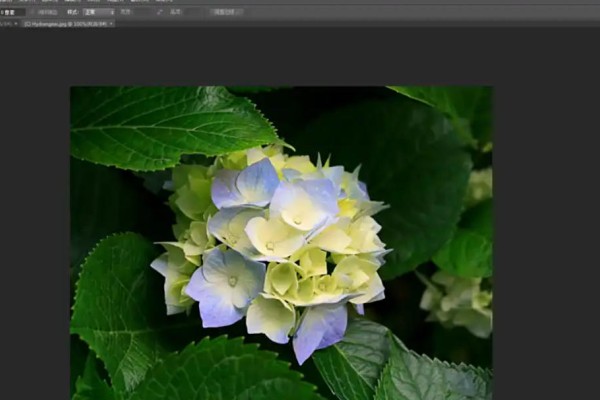 Photoshop CS6怎么给图片去斑