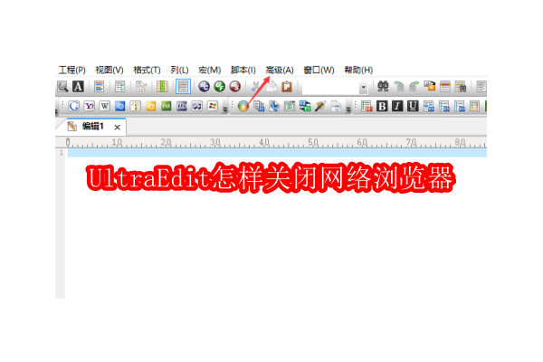 如何在UltraEdit中禁用内置网页预览功能