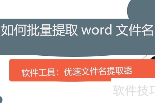如何批量提取word文件名