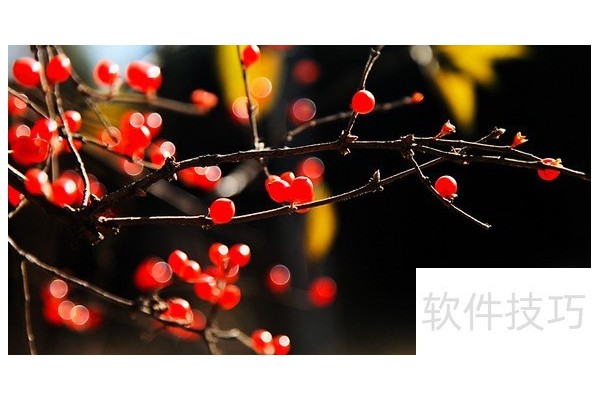 如何去除文档中的蓝红波浪线