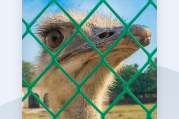 手机图片无痕去字软件排行榜