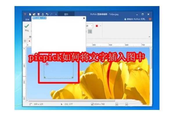 如何使用PicPick高效地在图片中添加文字注释