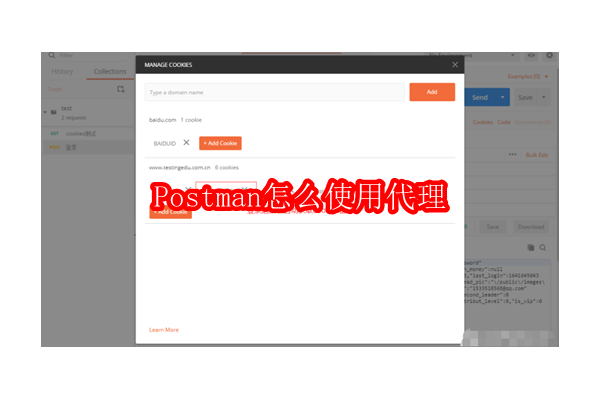 如何配置Postman以使用代理服务器：入门指南