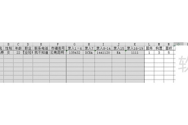 怎样用excel录入问卷调查的数据