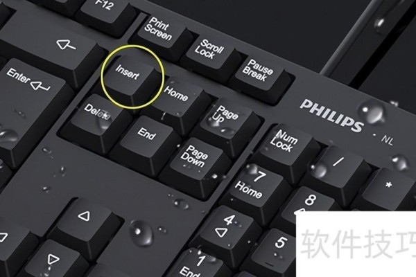 Word里改写和插入切换的2种方式