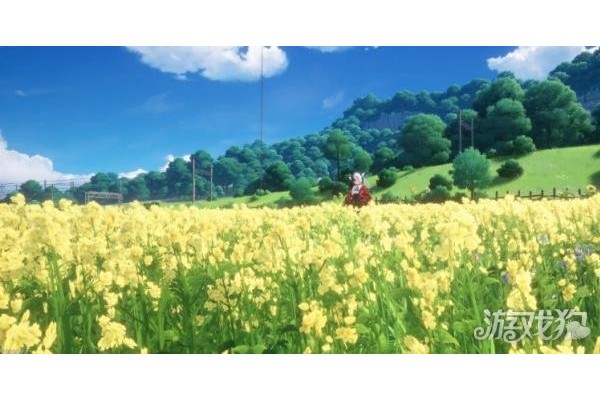 异环乡村花海在哪里