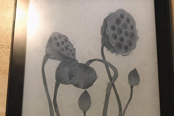 法考人的好帮手？