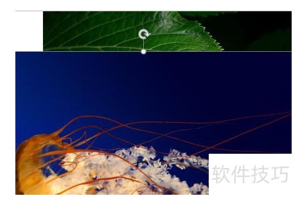 如何制作ppt动画效果