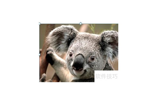 ppt中图片怎么翻转过来