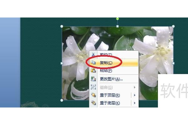 ppt文档怎么复制粘贴