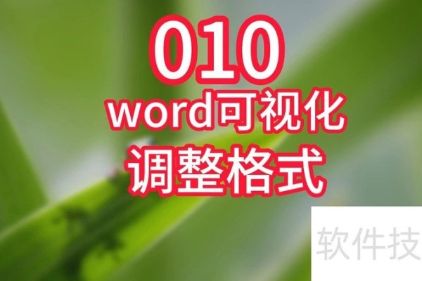 word可视化调整格式