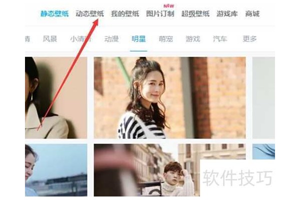 小鸟壁纸如何收藏动态壁纸？