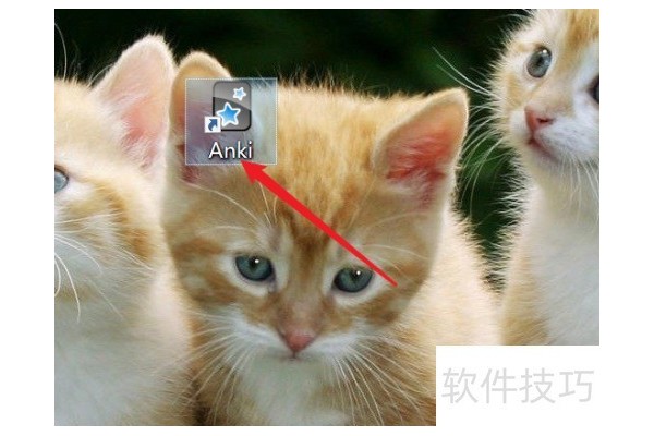 anki如何添加插件