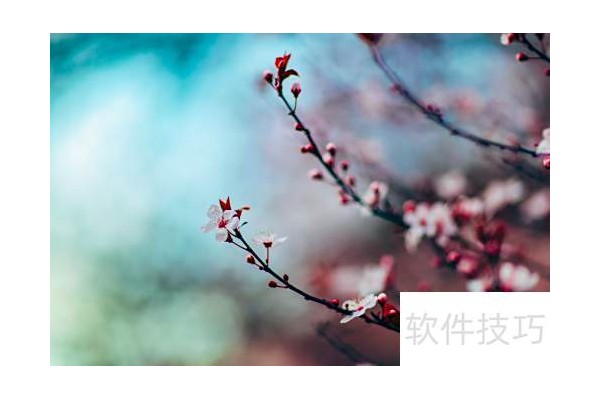 ImageMagick添加图片效果