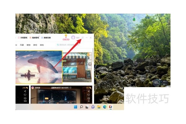 怎么设置小鸟壁纸的增值服务