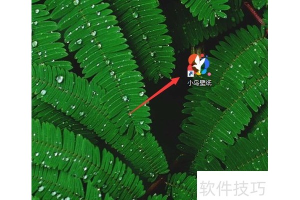 小鸟壁纸如何收藏自动更换的壁纸