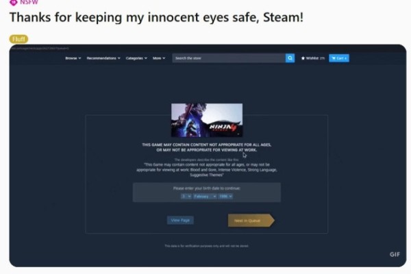 玩家吐槽Steam离谱机制 暴力内容要认证色情内容却不要
