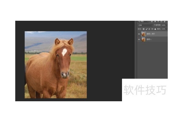 photosop移花接木换头大变身操作及注意事项
