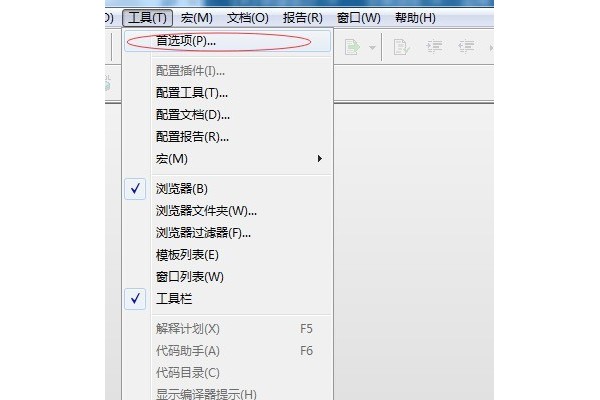 设置PL/SQL